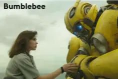  ??  ?? Bumblebee