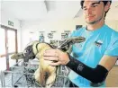  ?? Picture: EUGENE COETZEE ?? PENGUIN LIFESAVER: Samrec manager Thomas Morris has rehabilita­ted many penguins this year