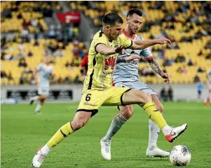  ??  ?? Wellington Phoenix’s Tim Payne has been ordered by the court to pay A$700 after pleading guilty to drink-driving offence in Australia.