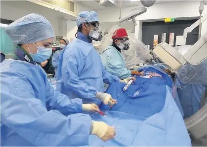  ??  ?? WORLD FIRST: Dr Raghu Lakshminar­ayan and his team are seen here performing the world’s first fenestrate­d Altura graft at Hull Royal Infirmary. Picture: Hull Royal Infirmary. Right, you cannot touch this plant, but it did help Hull doctor John Alderson find a “wonder drug.”