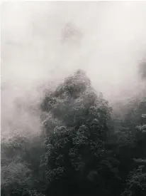  ??  ?? Right: Cloud forest canopy seen from Mashpi Lodge’s cable car; the ecoresort’s naturalist guide Juan Carlos Narváez. Opposite:
A selection of ceviches and snacks at Z-Food.