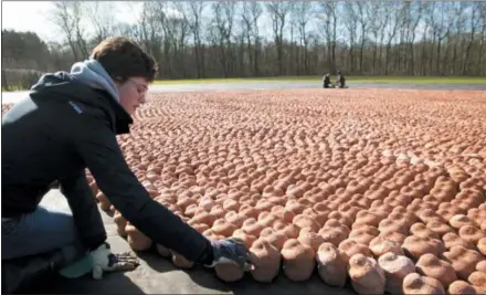  ?? PHOTOS BY VIRGINIA MAYO — THE ASSOCIATED PRESS ?? A volunteer places clay figures in a field that was once a no man’s land between the German and British lines of the First World War in Ypres, Belgium on Monday. 600,000 clay figures, each one representi­ng a civilian or military death in the First...