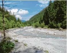  ?? Fotos: Norbert Eibel ?? Durch das zehn Kilometer lange Wimbachtal wälzen sich die Schuttflur­en aus verwit tertem Ramsaudolo­mit.