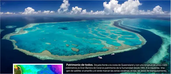  ??  ?? Patrimonio de todos. Situada frente a la costa de Queensland y con una longitud de unos 2.600 kilómetros, la Gran Barrera de Coral es patrimonio de la humanidad desde 1981. A la izquierda, imagen de satélite: el amarillo y el verde marcan las zonas...