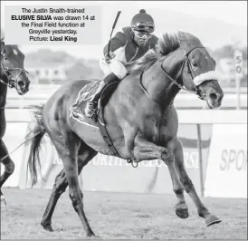  ??  ?? The Justin Snaith-trained ELUSIVE SILVA was drawn 14 at the Final Field function at Greyville yesterday. Picture: Liesl King (13.35) - ITSARUSH.CO.ZA WELCOMES YOU MAIDEN JUVENILE PLATE (Fillies) of R80000 over 1600m