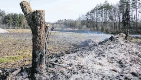  ??  ?? Ein Teil der geschredde­rten Bäume wird an Ort und Stelle verbrannt. FOTOS: HARALD RUPPERT