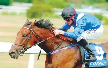  ?? Gulf News Archive ?? ■ Battash, trained by Charlie Hills for renowned owner Shaikh Hamdan, won the Group 2 King George Stakes in an emphatic fashion 12 months. The four-year-old son of Dark Angel and bids to repeat the feat.