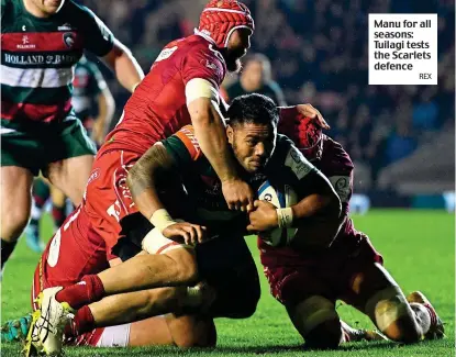  ?? REX ?? Manu for all seasons: Tuilagi tests the Scarlets defence