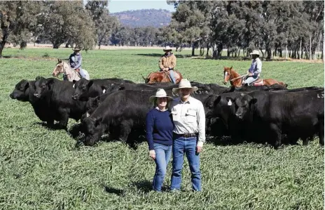  ?? PHOTOS: CONTRIBUTE­D ?? PASSIONATE BREEDERS: Jim and Jackie Wedge of Ascot Cattle Co are proud of the bulls they have to offer at their on-property sale near Warwick on September 29.