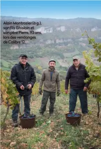  ??  ?? Alain Montrozier (à g.), son fils Ghislain et son père Pierre, 93 ans, lors des vendanges de Calibre 12.