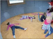  ?? Tyler Williams / Standard Journal ?? Students play in seed corn at Carlton Farms as one of their many attraction­s available for their fall corn maze.