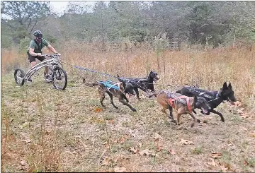 Sled dog competitio­ns set for GE Trails in Rome - PressReader