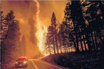  ?? NOAH BERGER/AP ?? Flames leap from trees in August as the Dixie Fire burns north of Greenville in Plumas County, California. Each year thousands of acres of dense timber are thinned, but some environmen­tal advocates say thinning is making fires worse.