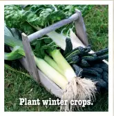  ??  ?? Plant winter crops.