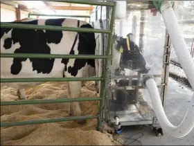  ?? PHOTO KARIN HIGGINS, UC DAVIS ?? The plastic chambers help measure the amount of gases coming from the cow’s stomach more precisely. Each year, one cow can belch 220 pounds of methane, which is 28 times more potent than carbon dioxide.