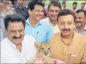 ??  ?? Haryana forests and wildlife minister Rao Narbir Singh (right) with a lion cub at the Pipli zoo in Kurukshetr­a on Tuesday. HT PHOTO
