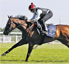  ??  ?? Best foot forward: Lady Aurelia can land today’s King’s Stand Stakes, while Aidan O’brien (below) trains St James’s Palace favourite Churchill