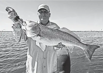  ?? John Goodspeed / Contributo­r ?? With the CPS Energy power plant in the background at Calaveras Lake, fishing guide Manny Martinez hefts a 31¼-inch redfish that hit on a gray soft-plastic lure with a chartreuse tail in 65 degree water.