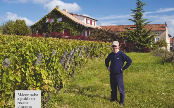  ??  ?? Above: Jean Thévenet with his old Chardonnay vines at Domaine de la Bongran in Quintaine