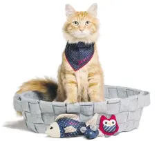  ??  ?? Ellen DeGeneres’ collection of pet carriers, stuffed fish-shaped cat toys, bandanas and bedding is a “pet lifestyle brand.”