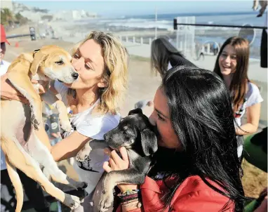  ?? PICTURE: DAVID RITCHIE ?? CUTIE PIES: Joanne Lefson, director of Oscars Arc/Woof Project, holds Robin Hood, while Chanel May, co-ordinator, holds Bob Hope at the mobile Woof centre at the Sea Point Promenade.