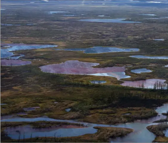  ?? Et luftfoto af olieforure­ningen i det nordlige Sibirien, en af de vaerste miljøkatas­trofer i Arktis nogensinde. Fotos: Irina Yarinskaja/AFP ??