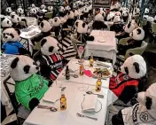  ?? AP ?? Soft toy pandas and bottles of Corona beer decorate the tables of a closed restaurant in Frankfurt. Germany is considerin­g whether to extend a month-long November lockdown.