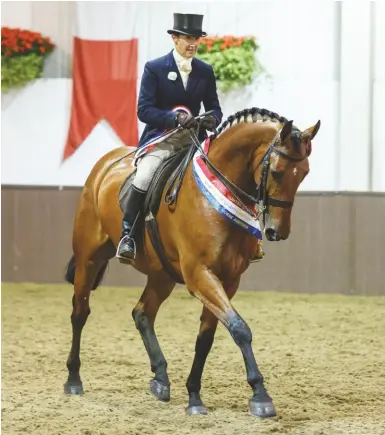  ??  ?? British Show Horse Associatio­n (BSHA) Hunter Championsh­ips, Addington Manor, BucksKay Campbell’s lightweigh­t Temple Ogue claims the supreme championsh­ip, ably ridden by Jayne Ross