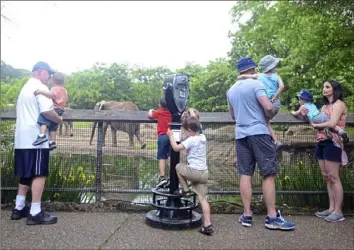  ?? Lucy Schaly/Post-Gazette photos ?? Michele and Conor McKenzie, right, watch the zoo elephants with their children, Charlie, 3, and Henry, 1, on June 5.
