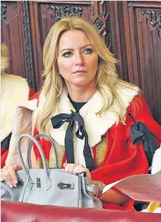  ??  ?? Gripping stuff: Michelle Mone with her £17,000 Hermès Kelly