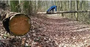  ?? Foto: Claudia Klinger ?? Dieser Weg auf dem Seeberg, der zum Scheibepla­tz führt, erfordert wegen eines umgestürzt­en Baumes sportliche Einlagen.