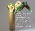  ??  ?? Sogetsu Ikebana features the idea that anyone can arrange flowers anytime, anywhere and with anything. PINTEREST PHOTO