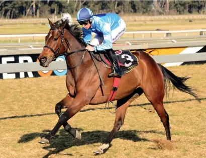  ?? Picture: JC Photograph­ic ?? MONEY HORSE: Rings And Things, from the Ashley Fortune yard, is the new favourite for Leg 1 of the Grand Series due to be run at Turffontei­n on Saturday.
