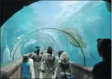  ??  ?? Visitors stroll through a tank of rays and other marine life at the Atlantis Paradise Island Resort in the Bahamas. The resort has more than a dozen marine habitats to enjoy.