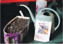  ??  ?? Hot water is efficient for thoroughly dampening flats filled with a seeding mix, prior to sowing the seeds.