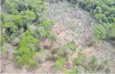  ??  ?? La reserva Campos Morombi ya era asediada por deforestad­ores.