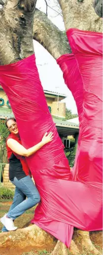  ?? Pink Trees for ?? The Zululand Observer joined in the
Pauline campaign, draping one of the trees outside its Empangeni office in pink as displayed by ZO HR Manager Kerry Krige