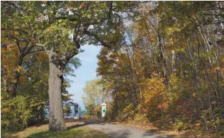  ?? ANNIK MH DE CARUFEL LE DEVOIR ?? Un des projets financés par le programme Audace des Fonds de recherche du Québec (FRQ) est consacré à un laboratoir­e sur la forêt urbaine pour la santé.