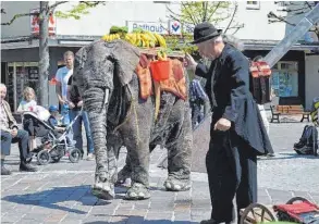  ?? FOTOS: UTE STERZ ?? Ein Elefant auf dem Marktplatz? Sowas gibt’s auch nur beim Gauklerfes­t.