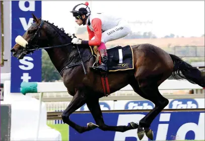  ??  ?? BEST RIDE. Jockey Gavin Lerena has a strong card of rides this coming Saturday at Turffontei­n, when the R2million Gauteng Sansui Summer Cup will be run, and he rates Doosra in Race 10 as his best. He fears his mount’s stablemate Irish Pride the most.