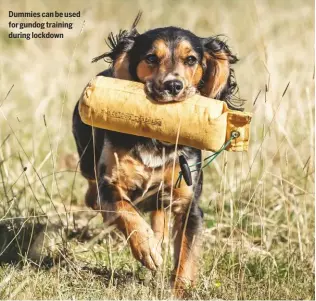  ??  ?? Dummies can be used for gundog training during lockdown