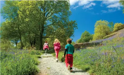  ??  ?? Getting away from it all: immersing ourselves in nature is good for our mental health. Photograph: Alamy