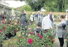  ??  ?? Un jardin de rosiers incroyable.