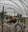  ?? THOMAS WATKINS — AFP/GETTY IMAGES ?? U.S. troops will remain on the border through Thanksgivi­ng, The New York Times reported, eating MRE rations, living in tents without electricit­y, receiving neither combat pay nor hostile-fire pay; their only task is stringing barbed wire.