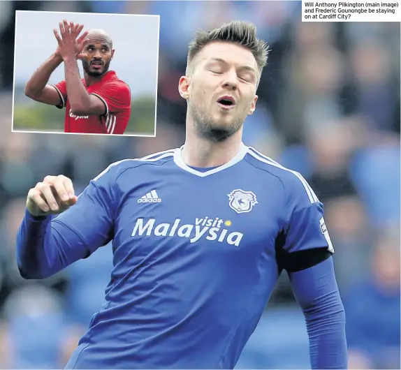  ??  ?? Will Anthony Pilkington (main image) and Frederic Gounongbe be staying on at Cardiff City?