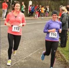  ??  ?? Suzanne Monaghan and Susanne Wylde crossing the finish line.