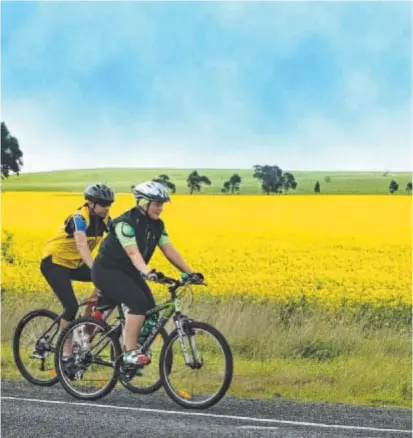  ??  ?? ON TRACK: Some cyclists are doing the right thing around Surf Coast roads, according to one reader.