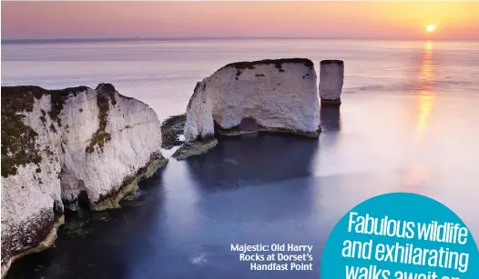  ??  ?? Majestic: Old Harry Rocks at Dorset’s Handfast Point