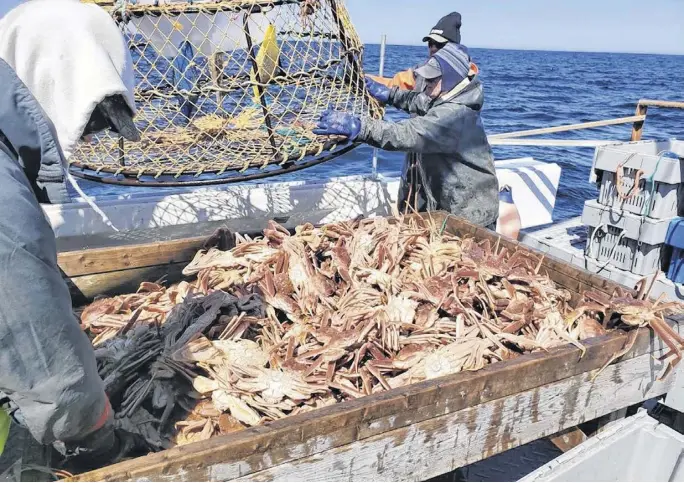  ?? ?? A fishing crew in the Gulf of St. Lawrence hauls crab pots during the 2020 fishing season.