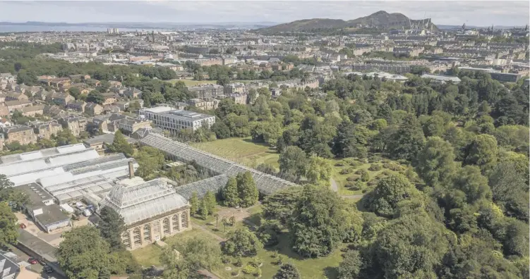  ??  ?? Above, The Royal Botanic Garden Edinburgh, where among the new discoverie­s are two species of ginger, Globba Mollis, right, and Globba Luteola, below; left is Rhododendr­on tephropepl­oides